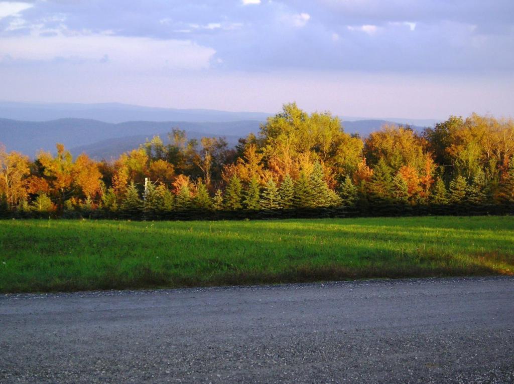 Cooper Hill Inn East Dover Zewnętrze zdjęcie